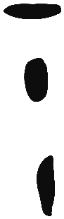 Image of the occurrence